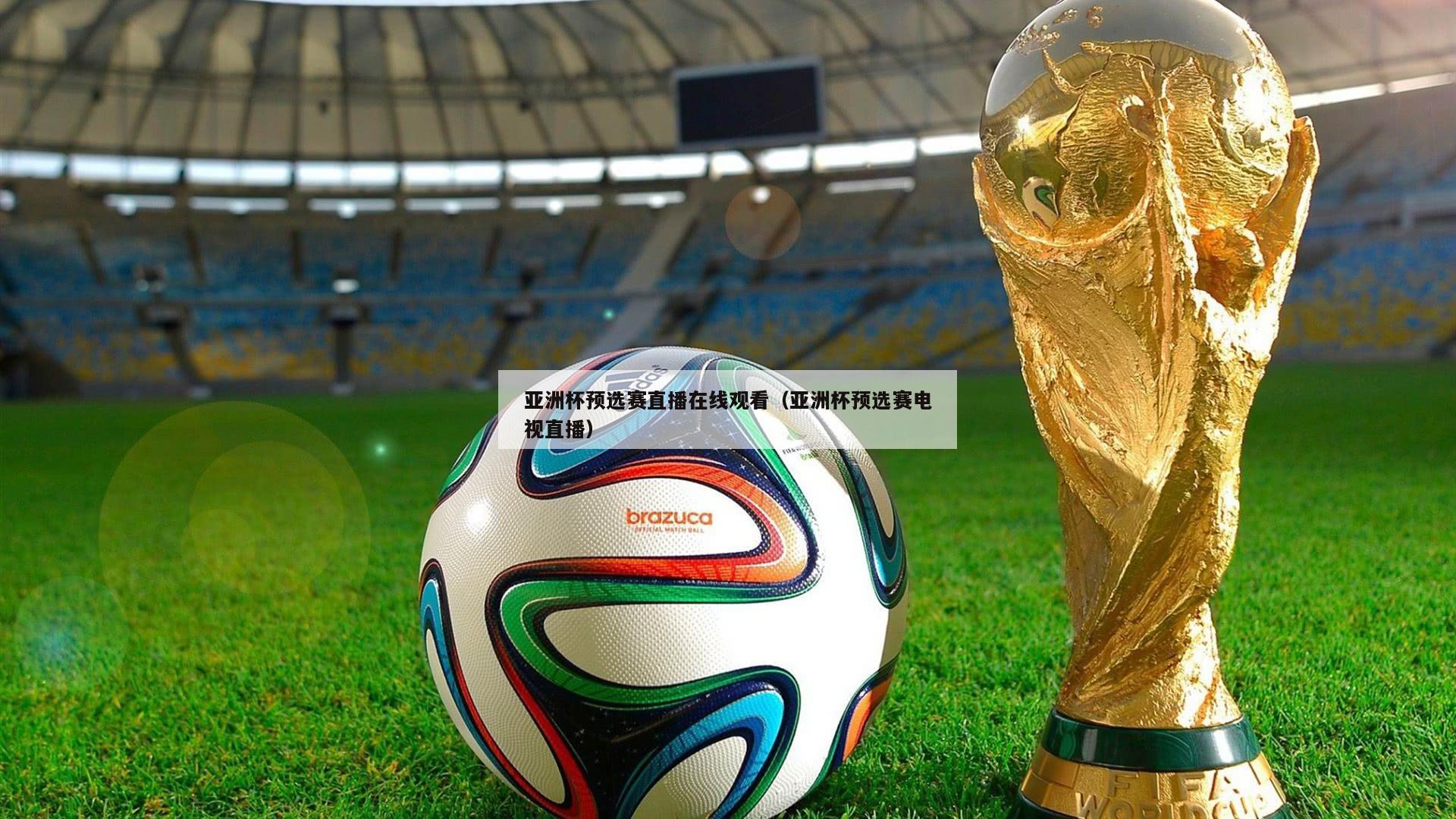 亚洲杯预选赛直播在线观看（亚洲杯预选赛电视直播）